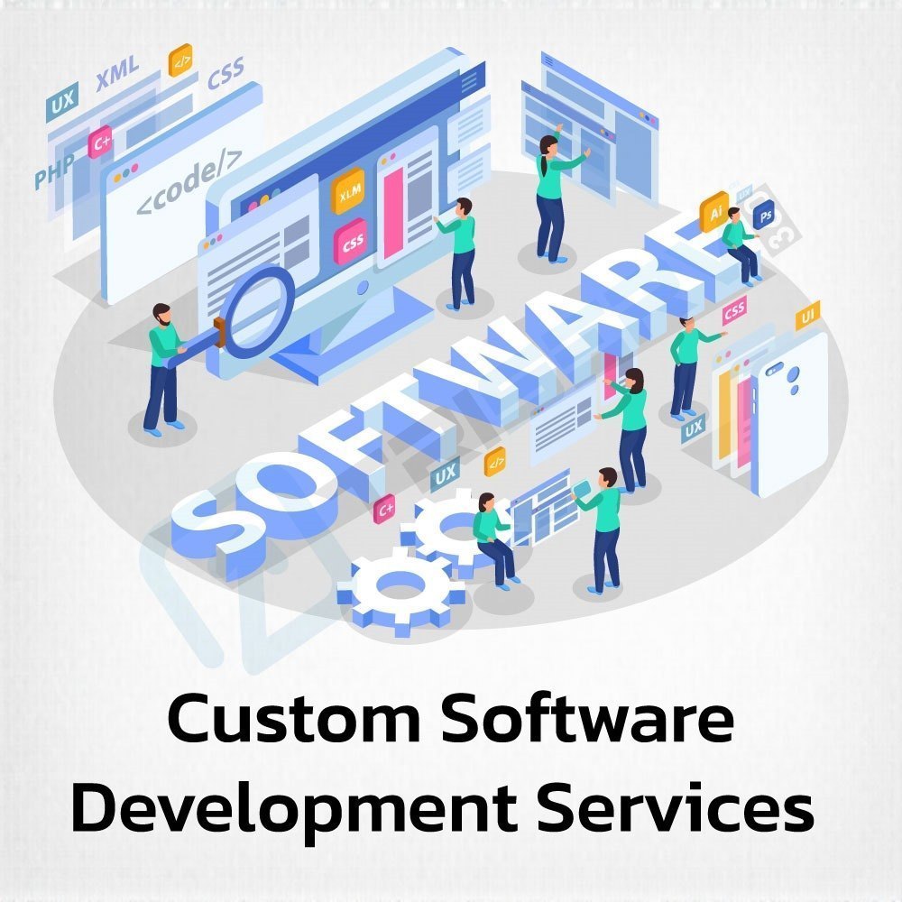 custom-software-development-service picture